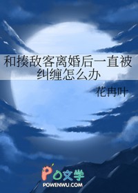 [综漫] 和揍敌客离婚后一直被纠缠怎么办